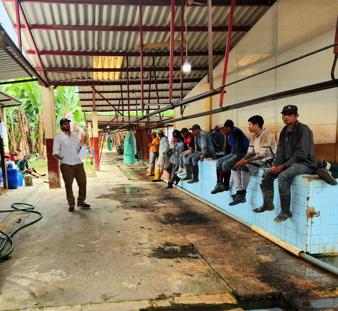 NatAware Consultoría 1